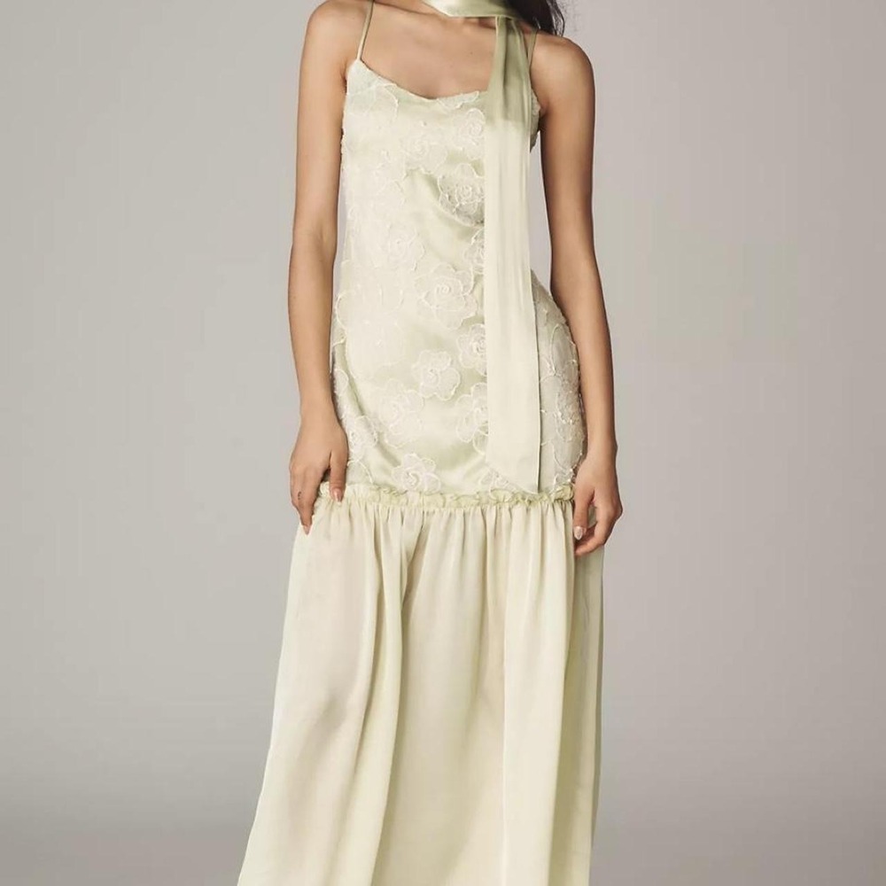 Anthropologie Embroidered Drop-Waist Midi Dress with Scarf
